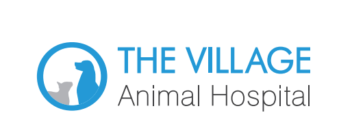 The Village Animal Hospital